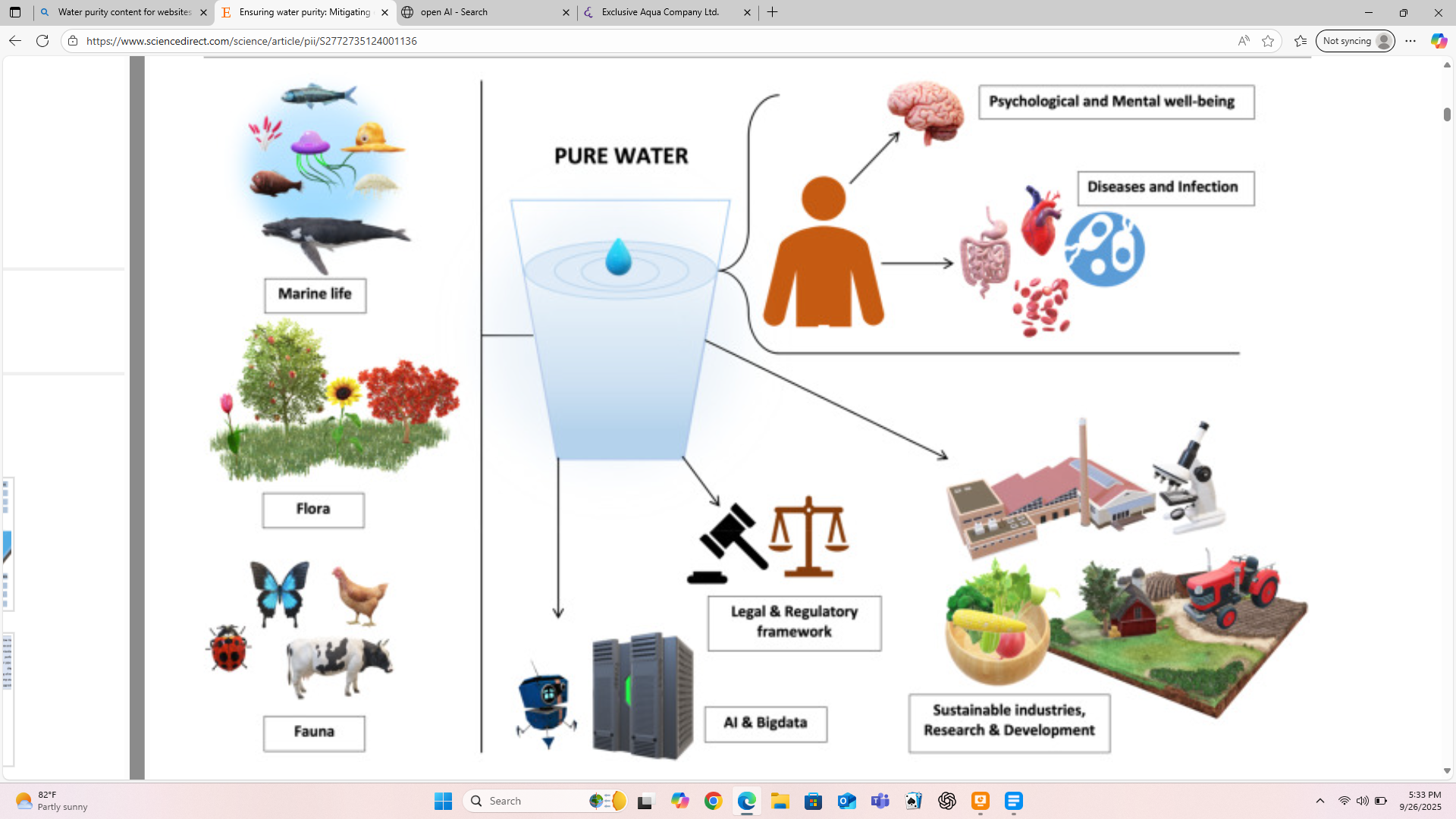 Ensuring water purity: Mitigating environmental risks and safeguarding human health
